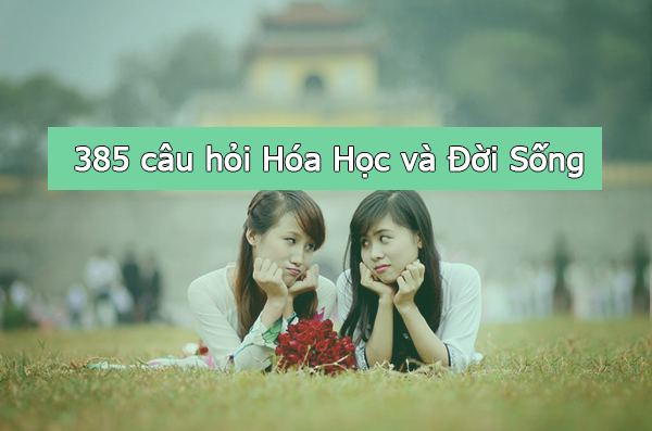 385 cau hoi