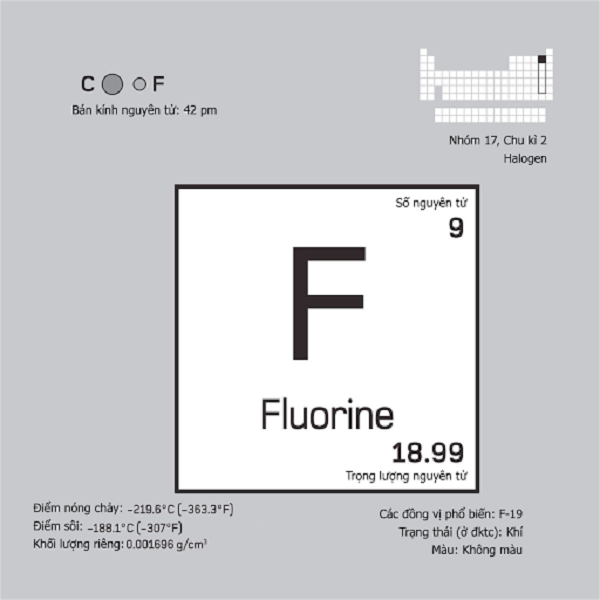 Fluor 7